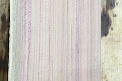 Pflaumenholz für das Griffbrett