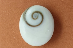 Cavaquinho bauen, Schnecke für Intarsie für Kopf