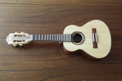 Cavaquinho bauen, fertig