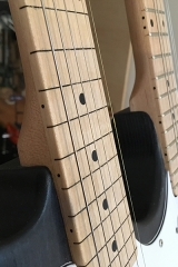 Double-Neck, Detail, fretless Hals