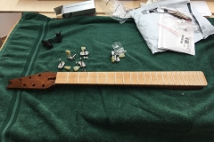 Hollow-Body-E-Gitarre, Griffbrett mit Zitronenöl geölt
