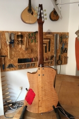 Hollow-Body-E-Gitarre, Gitarre fertig, Rückseite