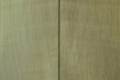 Jazzgitarre restaurieren, Mittelnaht des Bodens, Detail