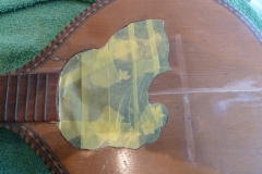 Mandoline restaurieren, Rosette und Einlegearbeiten zum Schutz maskiert