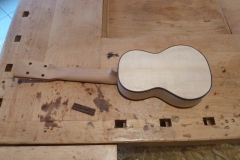 Ukulele bauen, Body mit Hals von hinten